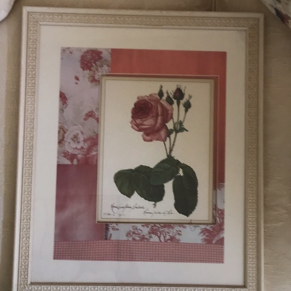 Picture of Pink Rose - Picture 2 of 2